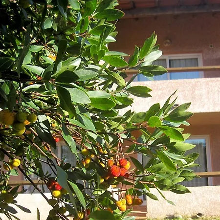 Complesso Residenziale Marina Di Pinarello 3*